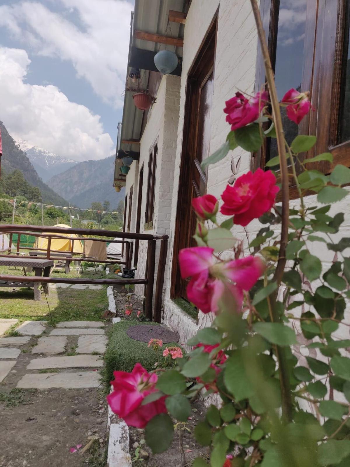 Himtrek Stay Kasol Εξωτερικό φωτογραφία