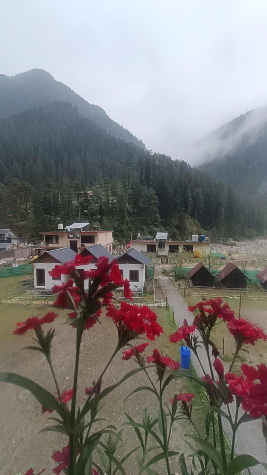 Himtrek Stay Kasol Εξωτερικό φωτογραφία