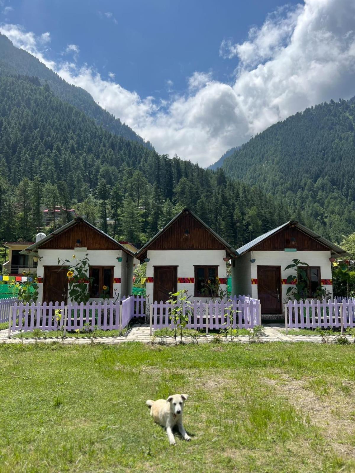 Himtrek Stay Kasol Εξωτερικό φωτογραφία