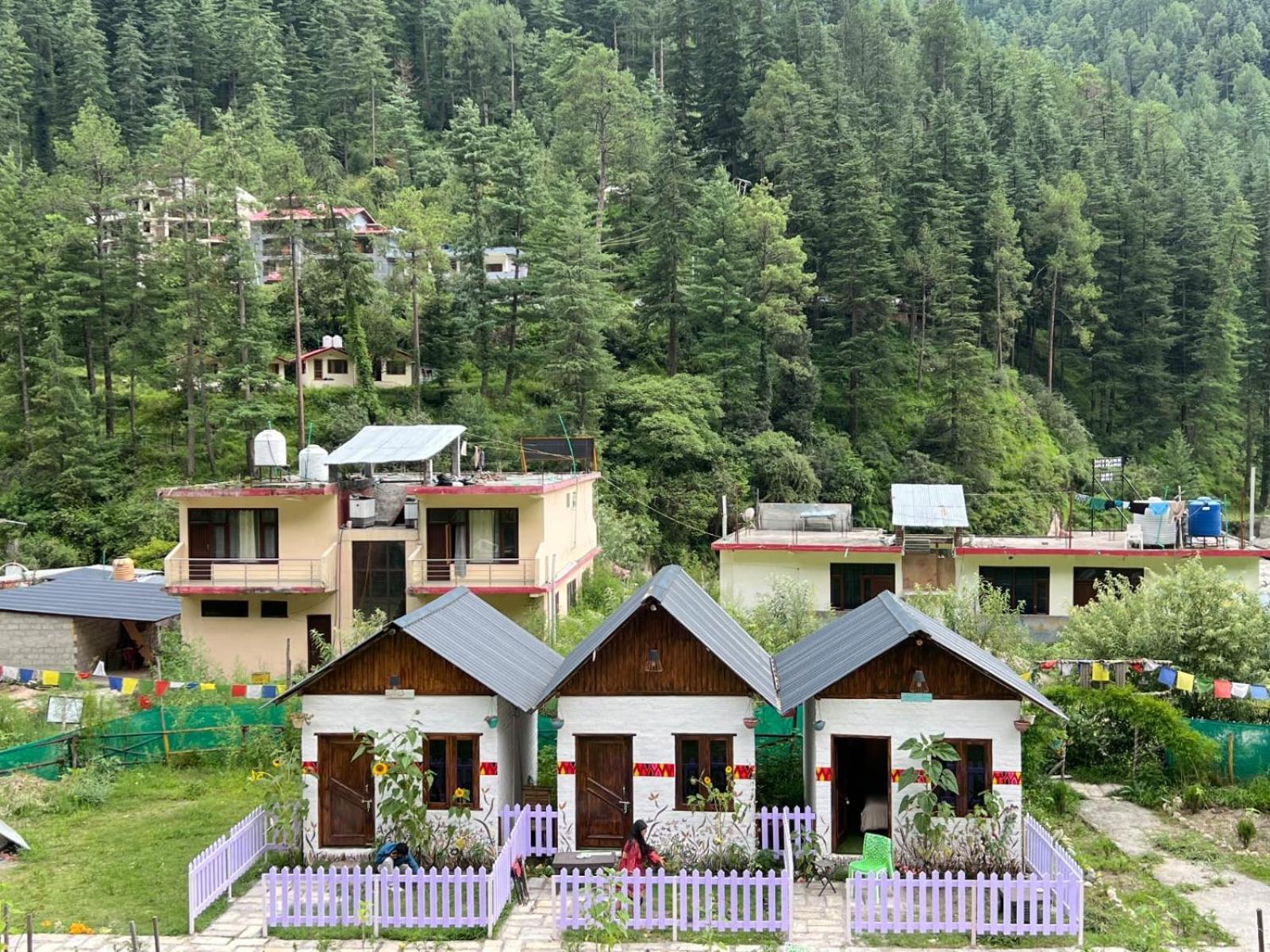 Himtrek Stay Kasol Εξωτερικό φωτογραφία