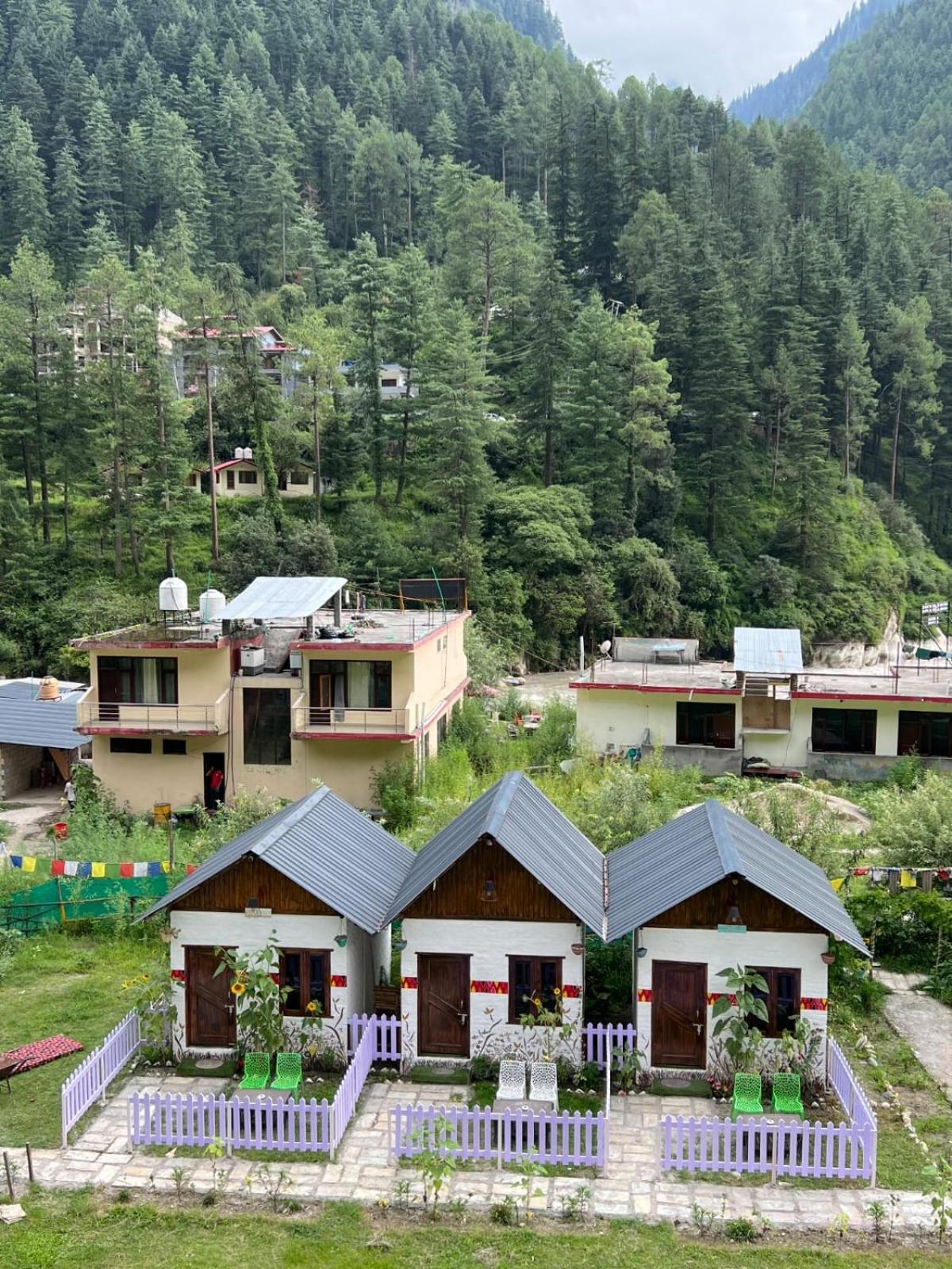 Himtrek Stay Kasol Εξωτερικό φωτογραφία