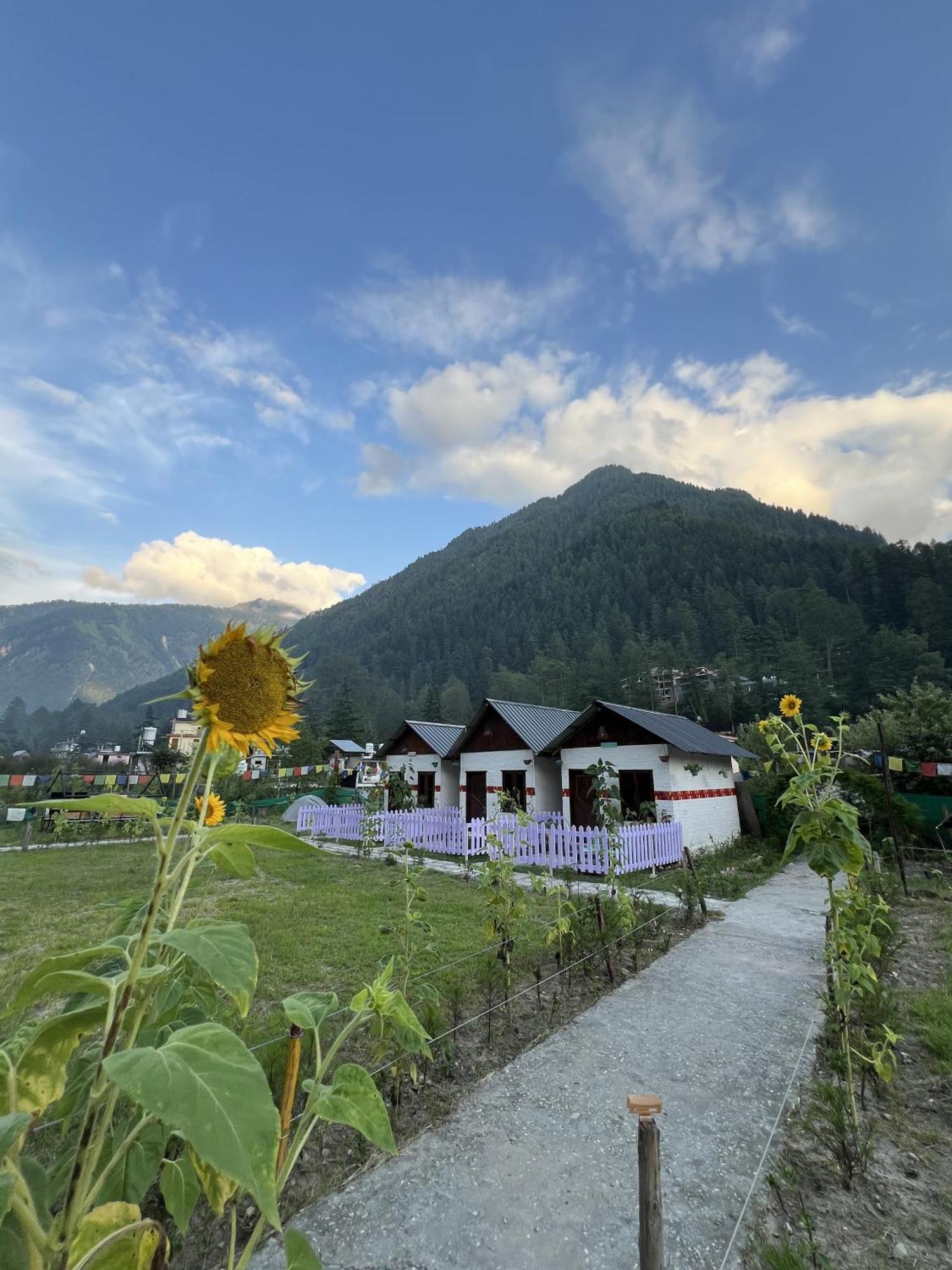 Himtrek Stay Kasol Εξωτερικό φωτογραφία
