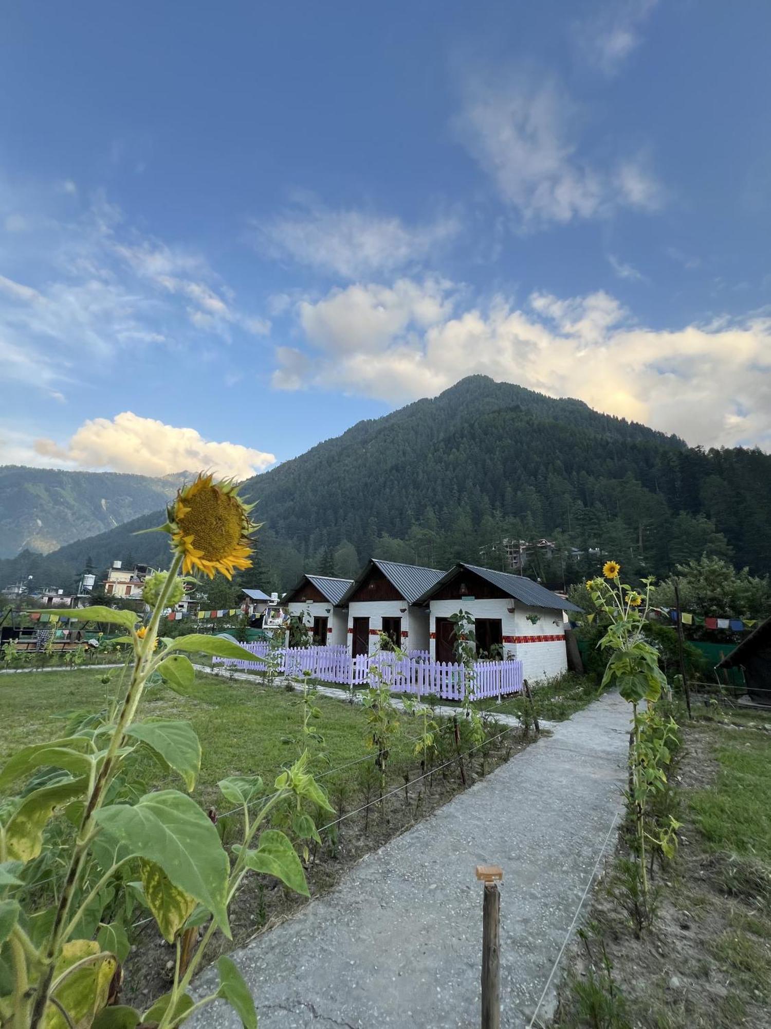 Himtrek Stay Kasol Εξωτερικό φωτογραφία